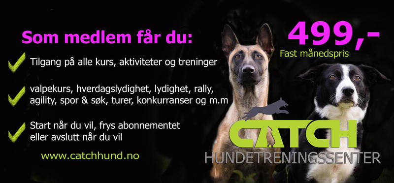 Abonnement CATCH Hundetreningssenter