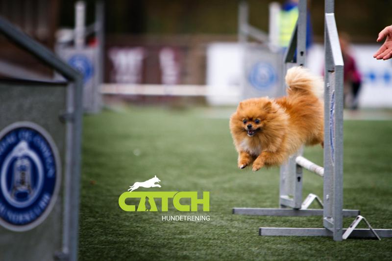 Agility fra start