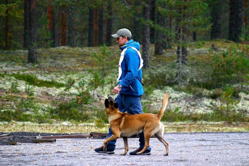 Lær å lese din hund og bli en bedre hundetrener!