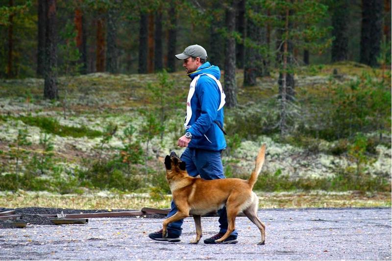 Konkurranselydighet