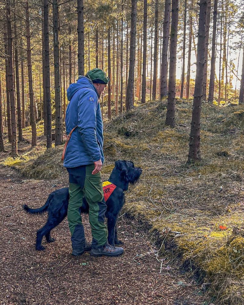 Spor, feltsøk og rundering