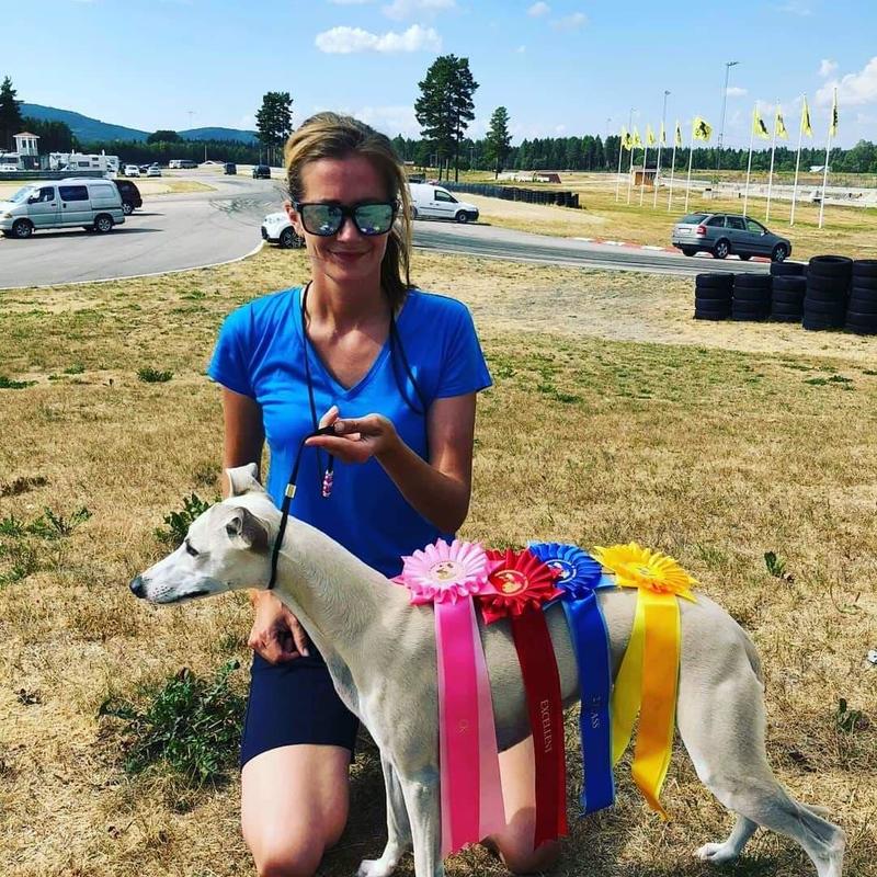 Utstillingskurs