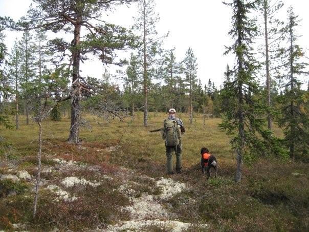 En magisk helg for deg med stående fuglehund