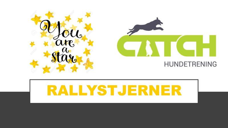 Rallystjerner