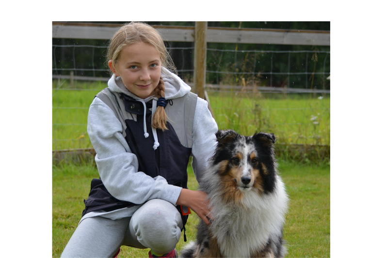 En fire dagers leir for deg som er mellom 10 og 16 år og har interesse for både hund og hest