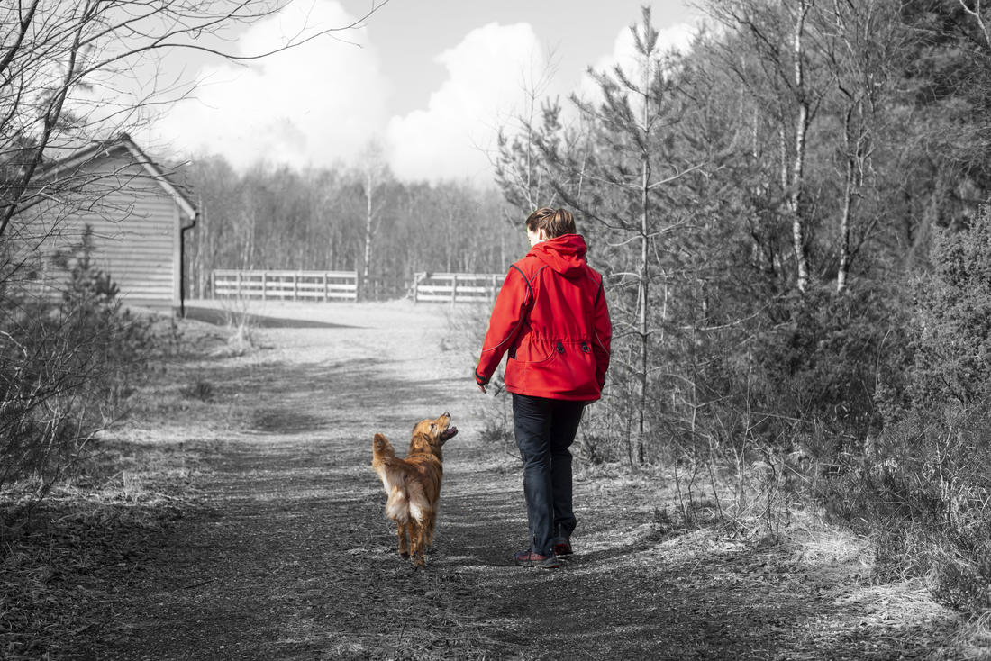Foto: Lise Henriksen