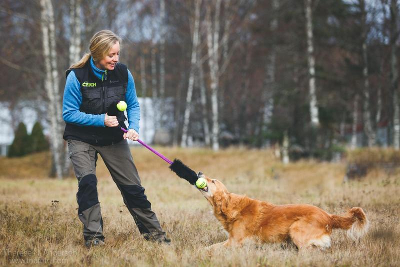 Sommerfest med hund og hest VOKSEN