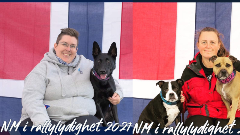 Kurs/Workshop i det nye regelverket i Rallylydighet